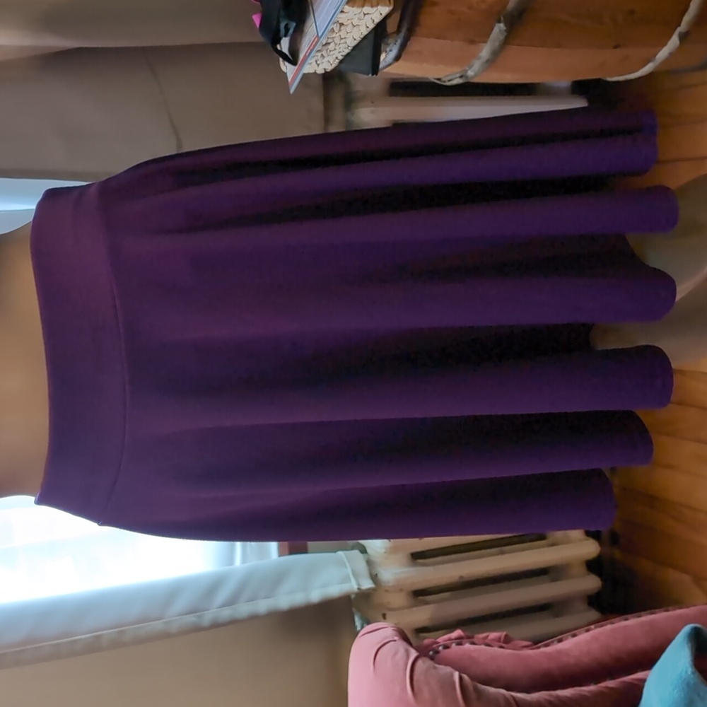 Fun Purple  Women's  Skater Skirt Large